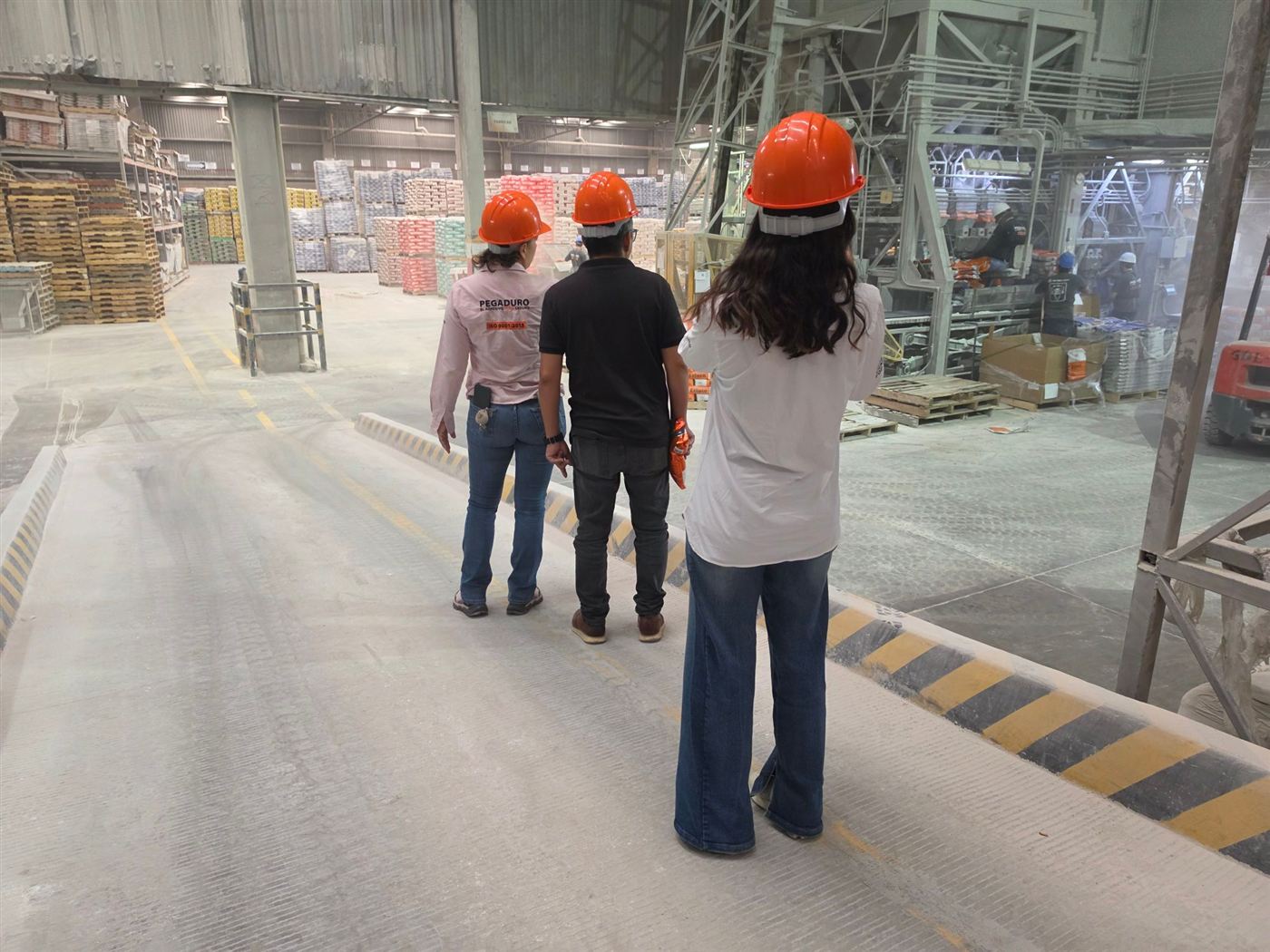 Visita del equipo PERBEC a la planta de Pegaduro